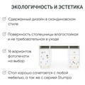 Детский письменный стол Stumpa с двумя тумбами 10269